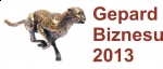 Tytuł Gepard Biznesu 2013 dla firmy TECHBUD
