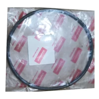 O-ring 1AG-155.0