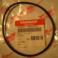 O-ring 1AG95.0