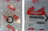 O-ring P17.0