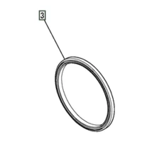O-ring