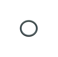 O-ring / 17.300 X 2.200 MM /
