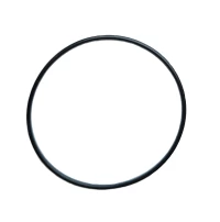 O-ring / 60.046 X 1.778 MM /