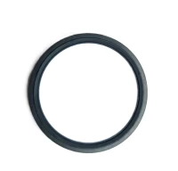 O-ring termostatu