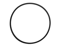 O-ring