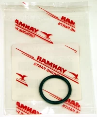 O-ring 4D24030