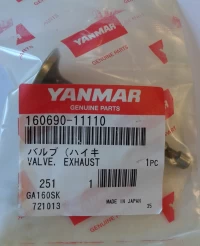160690-11110 ZAWÓR WYDECHOWY GA120