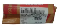 Wtryskiwacz kompletny   L75-L100AE
