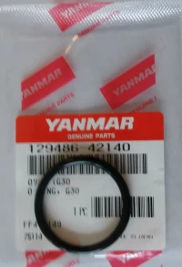 O-ring G30