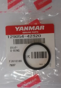 O-ring króćca pompy wody