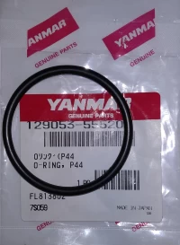 O-ring P44