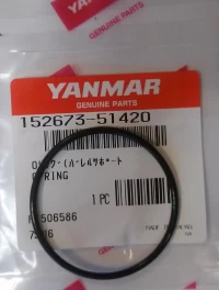 O-ring