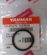 O-ring wtryskiwacza   AY