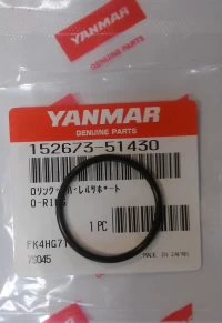 O-ring pod zawór pompy wtryskowej   AY